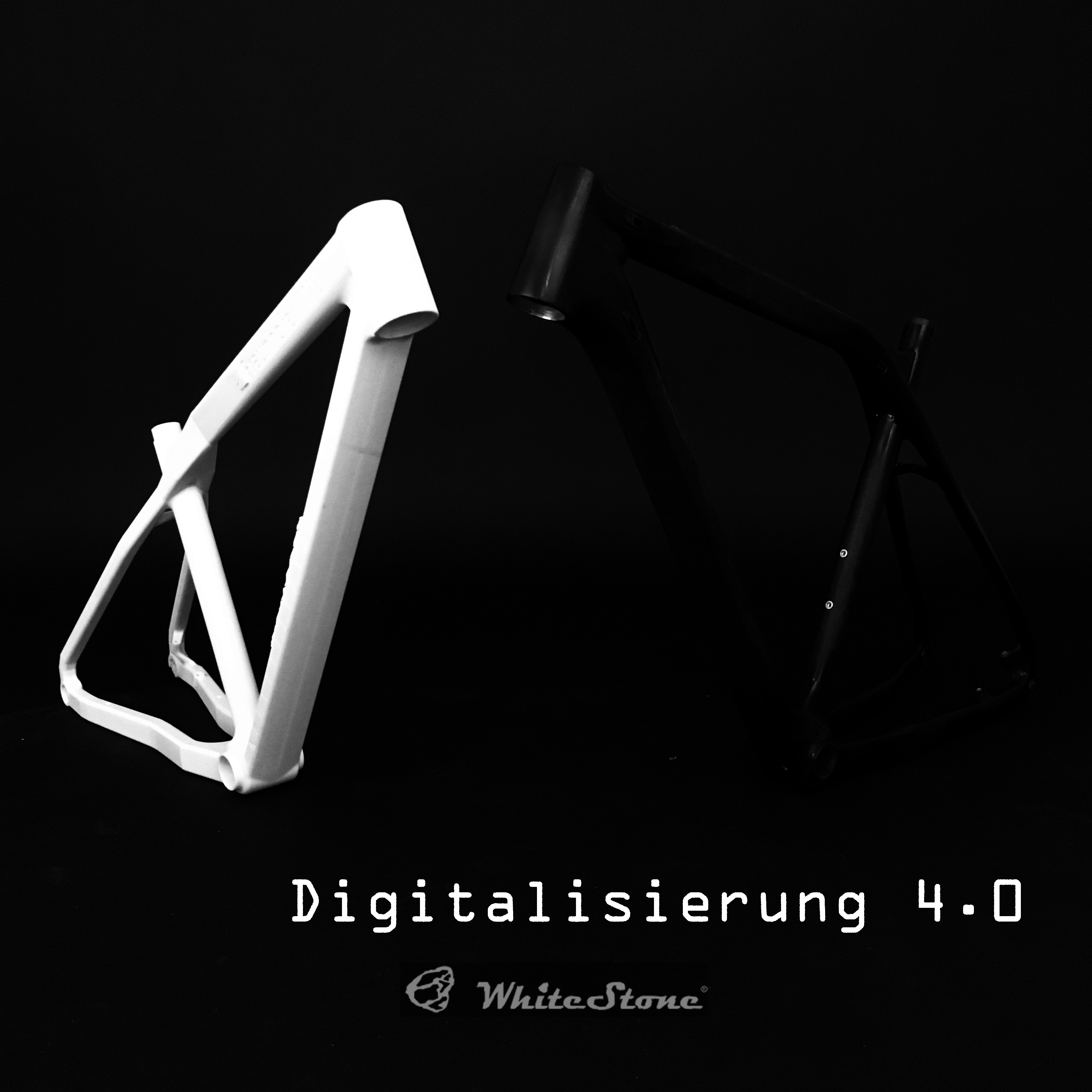 Digitalisierung403Ddruckwhitestone